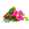 Gel de dus, cu trandafir salbatic si plante BIO, Life Care®